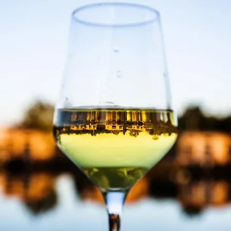 Hotel Du Du Golf Des Graves Et Sauternais Langon 33210 *