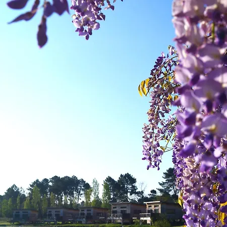 ホテル Du Golf Du Sauternais *