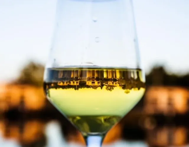 Hotell Du Golf Du Sauternais *