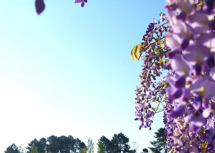 Hotell Du Golf Du Sauternais *